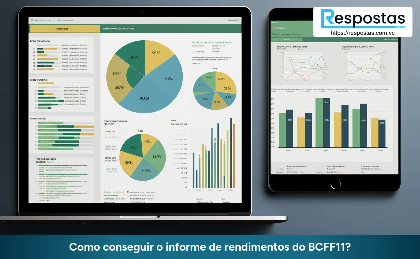 Como conseguir o informe de rendimentos do BCFF11?