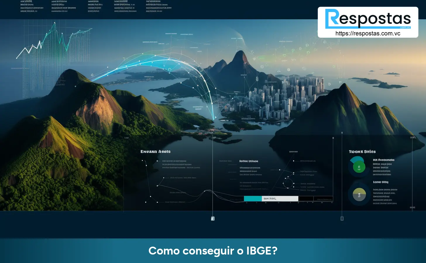 Como conseguir o IBGE?