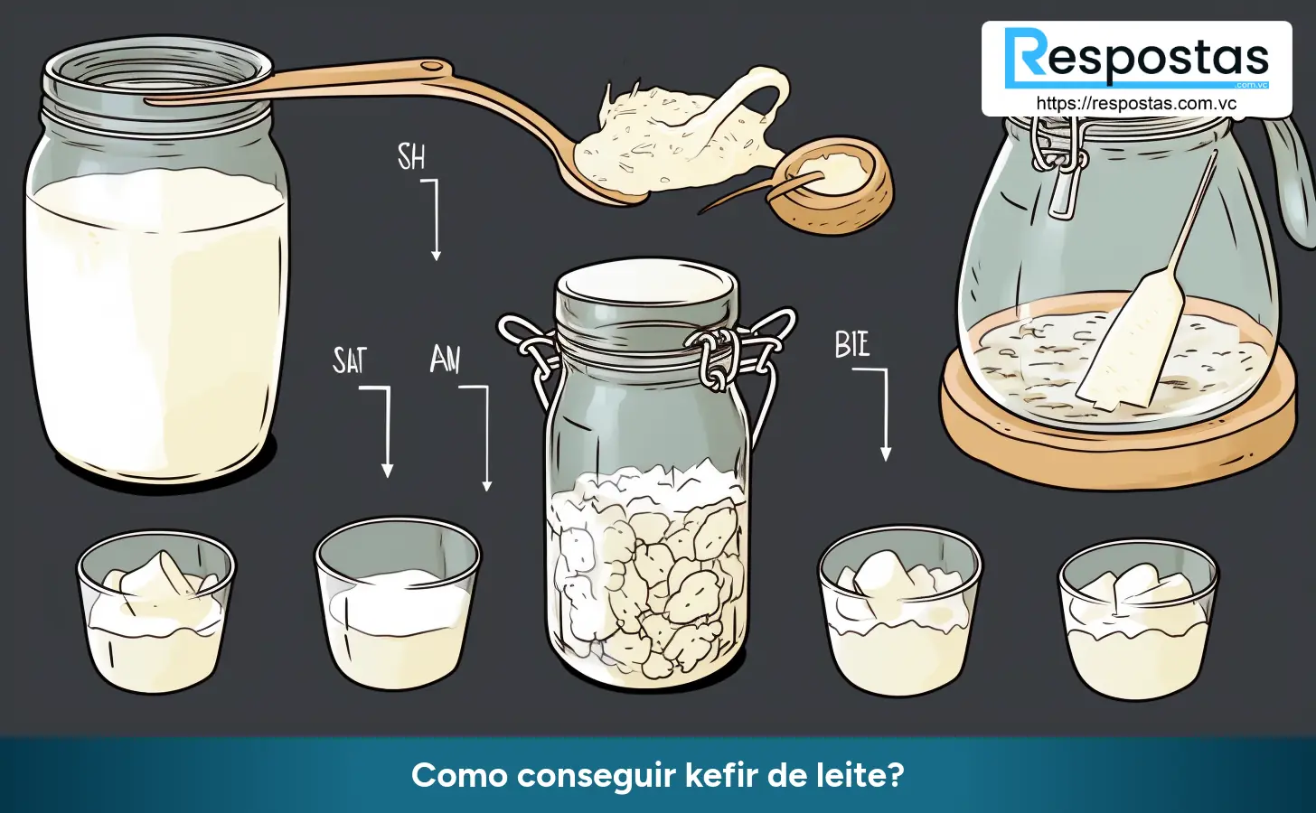 Como conseguir kefir de leite?