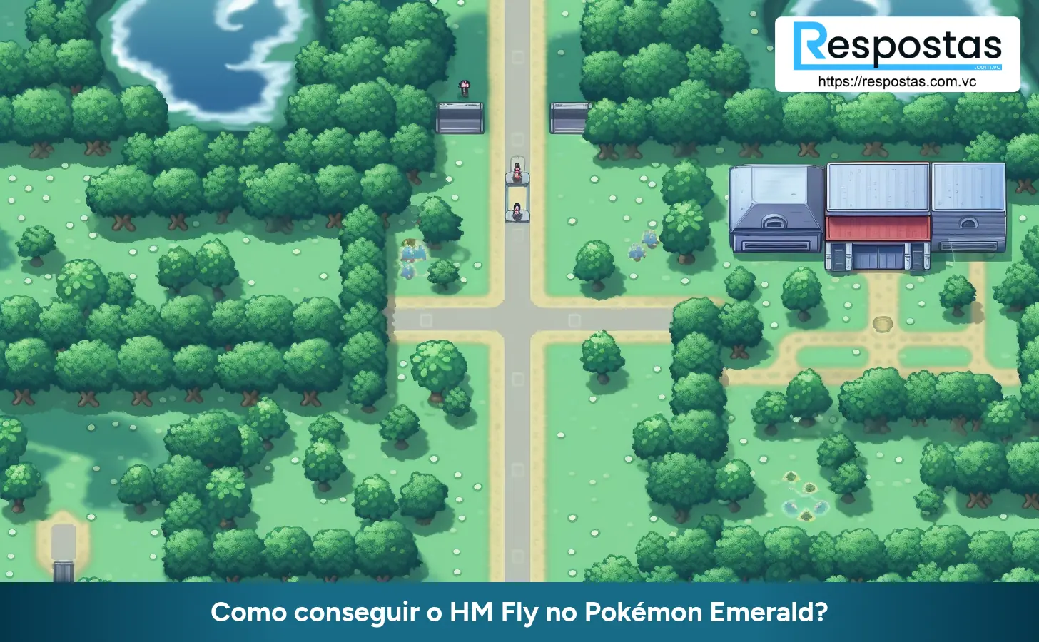 Como conseguir o HM Fly no Pokémon Emerald?